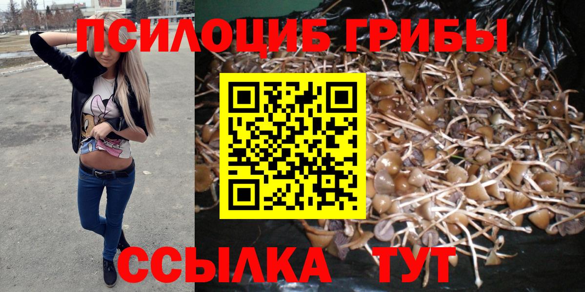 Свободный  Псилоцибиновые грибы Magic Shrooms  Вход с VPN 