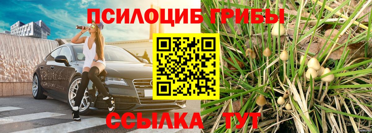 Псилоцибиновые грибы прущие грибы Свободный